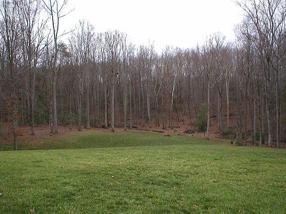 Back Yard View