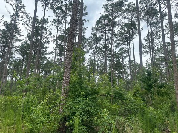 Ouachita Road 24/east Of Ouachita Rd #75, Chidester, AR 71726