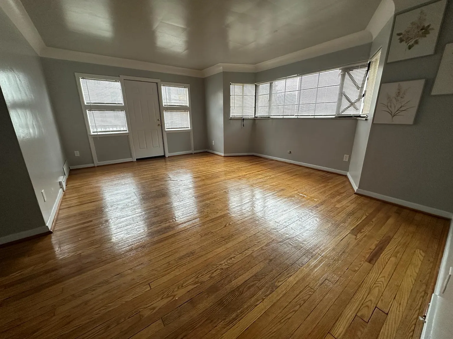 1 bed, 825 sqft, $900 — Photo 4
