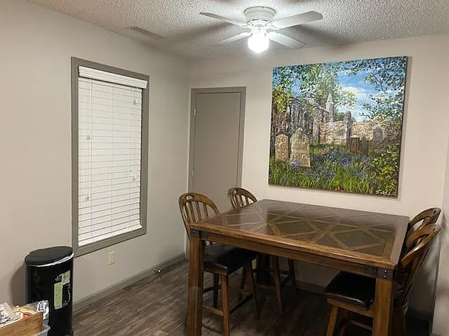 Kitchen/Dining area. Note: unit is not furnished. Door shown is a small pantry closet. Window looks to back yard.