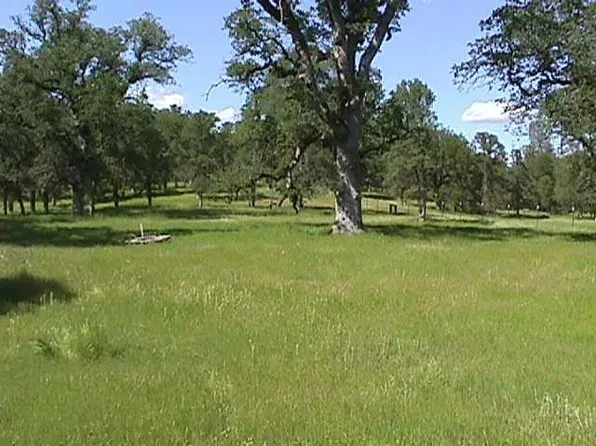 2 Feathers, Cottonwood, CA 96022