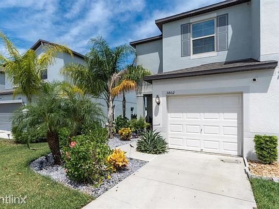 3rd image of 3802R Cat Mint St