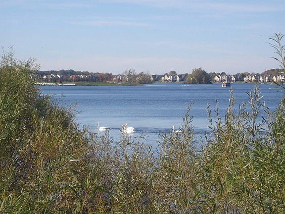 4th image of 25782 Island Lake Dr #1