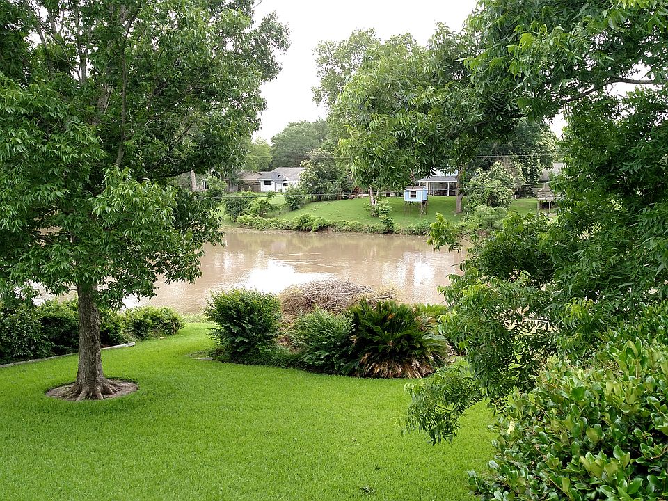 back yard when creek is high