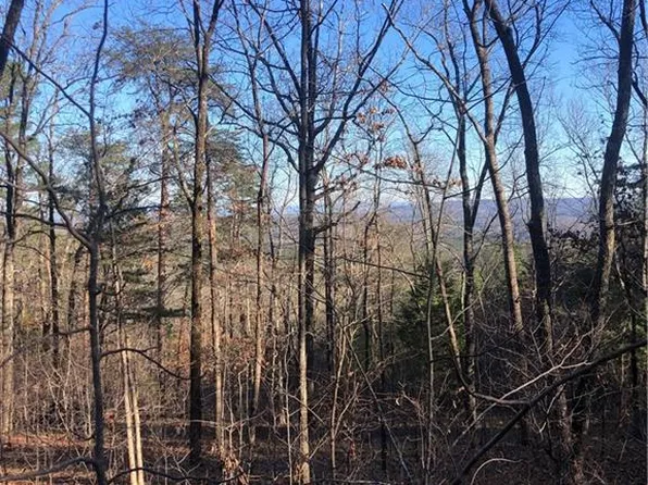 0 Taylors Ridge Rd #1, Ringgold, GA 30736