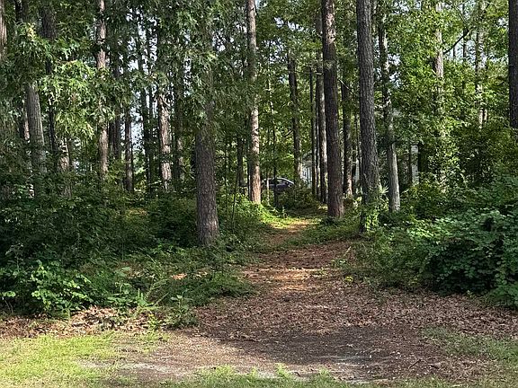 2nd image of 164 Emerald Lake Rd