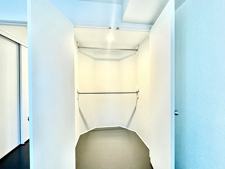 Bedroom Walk-in Closet