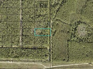 X Amos Ave LOT 2, Hastings, FL 32145