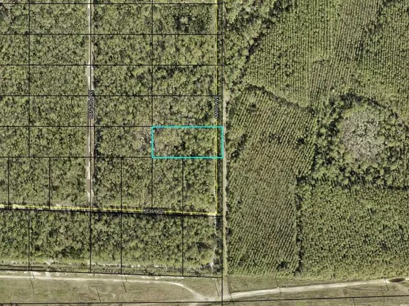 X Amos Ave Lot 2, Hastings, FL 32145