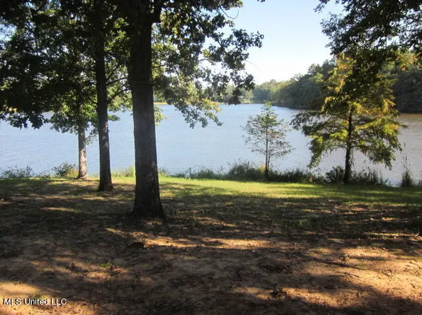 No Spring Lake Community Lot 1, Vaiden, MS 39176