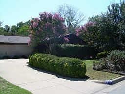 1st image of 4713 Comita Ave