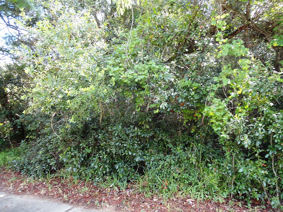 1st image of 600 W Bianca Cir