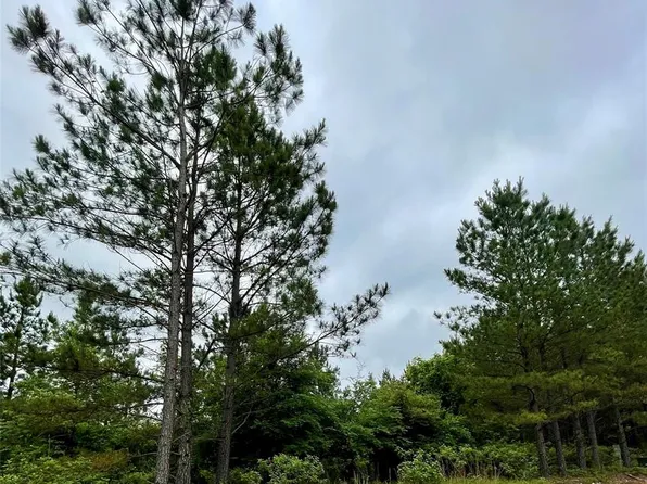 672 Timber Creek Trl, Broken Bow, OK 74728