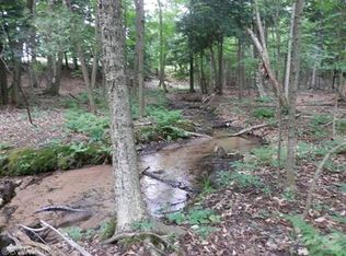 2107 Ellis Rd, Frankfort, MI 49635