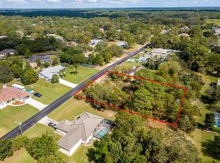 12044 Genter Dr, Spring Hill, FL 34609