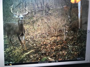 Schwartzwalder Rd, Shreve, OH 44676