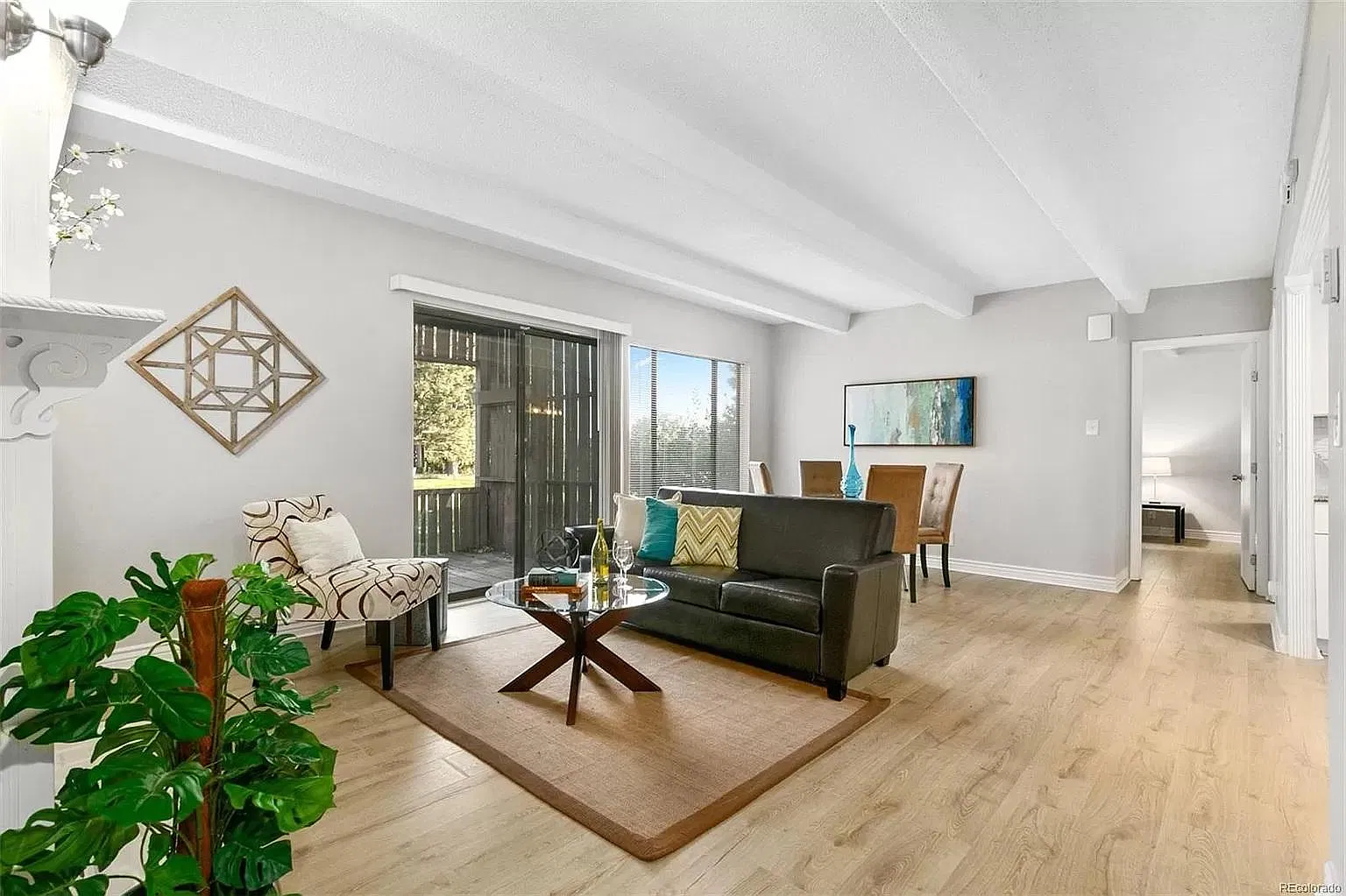 1 bed, 800 sqft, $1,600 — Photo 1