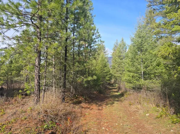 LOT 3 Twelve Larkspur Way, Kettle Falls, WA 99141