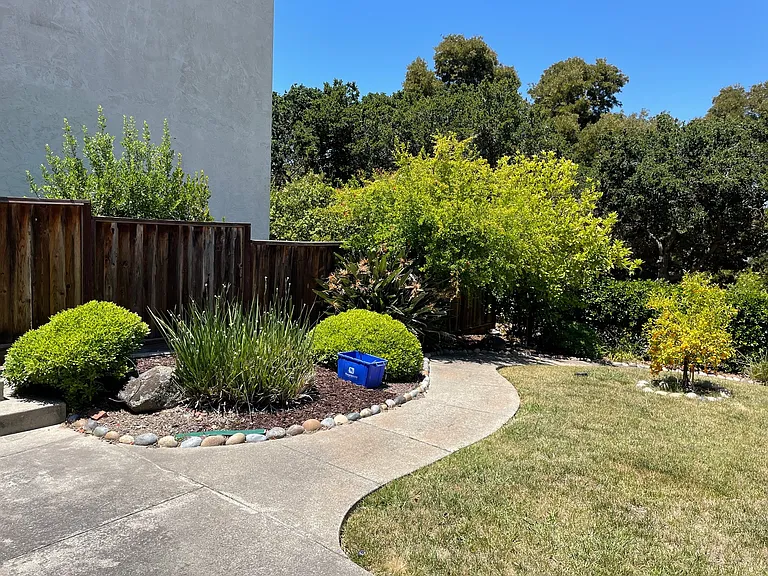 2885 Alice Ct — Photo 19