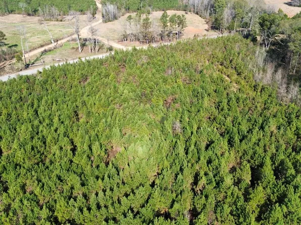 Cash Rd, Millport, AL 35576