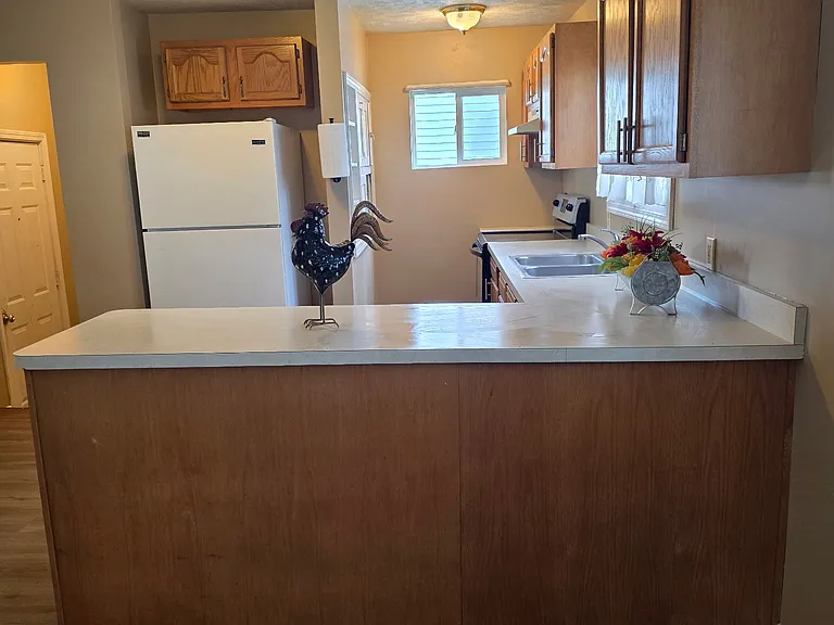 910 Hendricks St — Photo 6