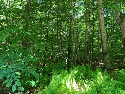  Cattail Road, Livingston Manor, NY, 12758