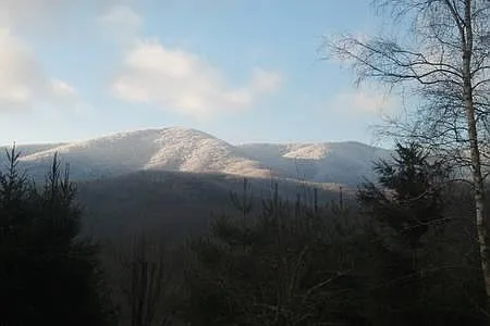 270 Francis Rd — Photo 19