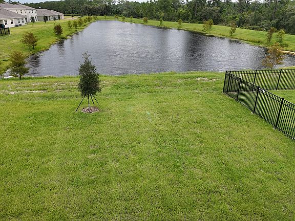 Actual View