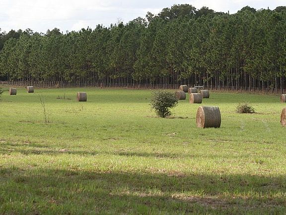 3rd image of NE County Road 337