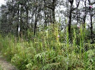 Road 4 Kea #IO, Mountain View, HI 96771