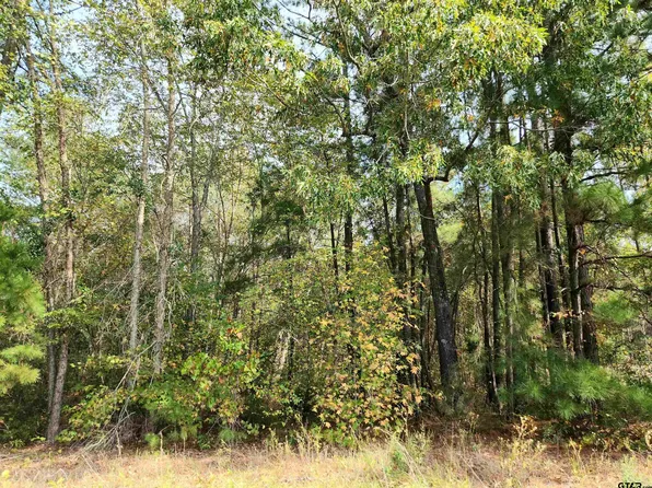 10857 Deer Creek Dr, Tyler, TX 75707