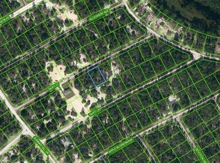 415 Tahiti Ct #8, Lake Placid, FL 33852