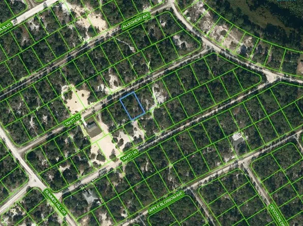 415 Tahiti Ct #8, Lake Placid, FL 33852