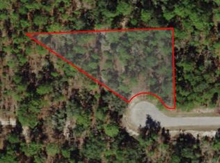 6910 N Fountainhead Dr, Citrus Springs, FL 34433