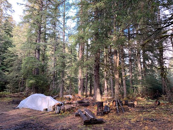 5th image of 10867 Wolf Trail Cir