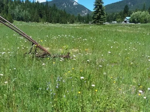 77 Wildwood Dr, De Borgia, MT 59830