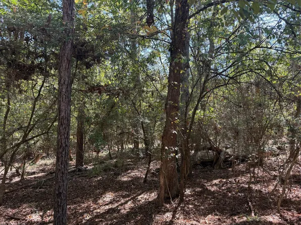 Poland Spring Ct Lot 2, Huntsville, TX 77320