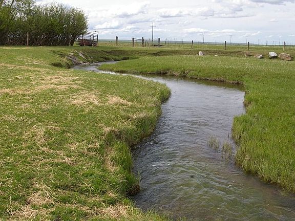 Creek