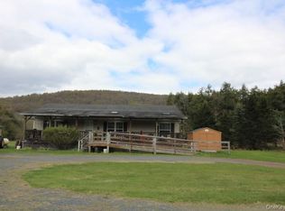440 Debruce Road, Livingston Manor, NY 12758