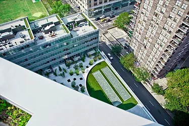 Rented by Mirador Real Estate