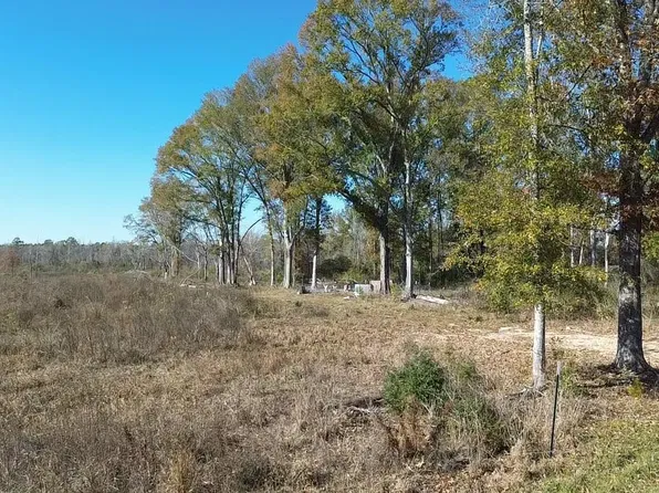 PARCEL 1 & 6 W Horseshoe Rd, Amite, LA 70422