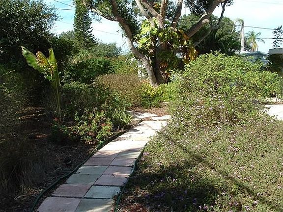 Butterfly eco-system