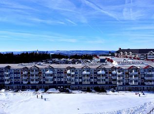 294 Mountain Ldg, Snowshoe, WV 26209