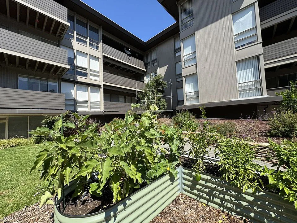 Modern Peninsula Living Across from Carlmont Village