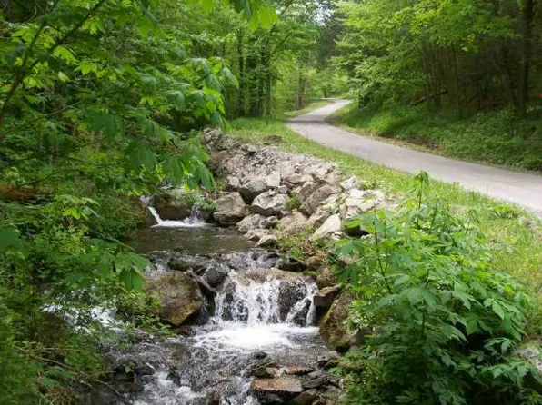 Heaton Creek Rd, Roan Mountain, TN 37687