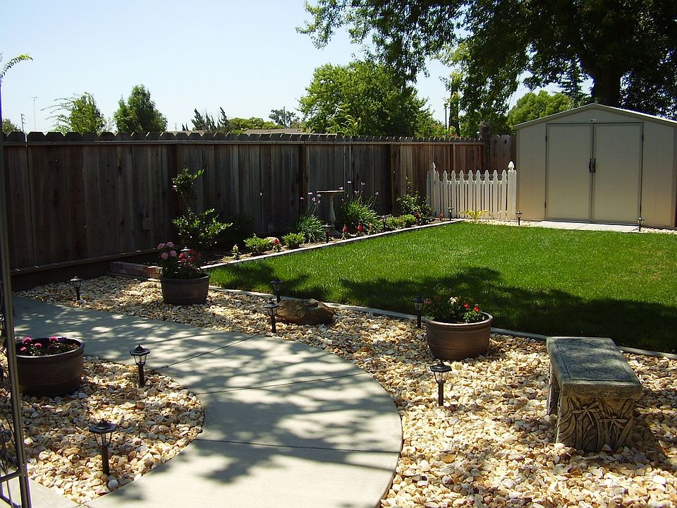back yard