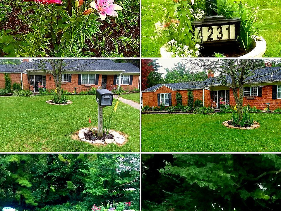 Amazing yard! Seasonal bloom