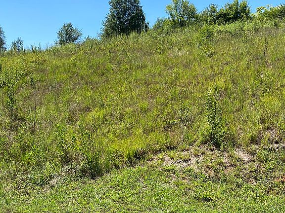 2nd image of 1771 Derby Downs Dr Lot 12