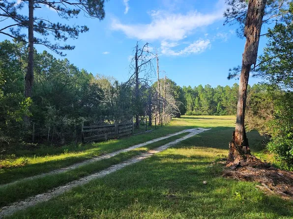 1407 Hawpond Rd, Arabi, GA 31712