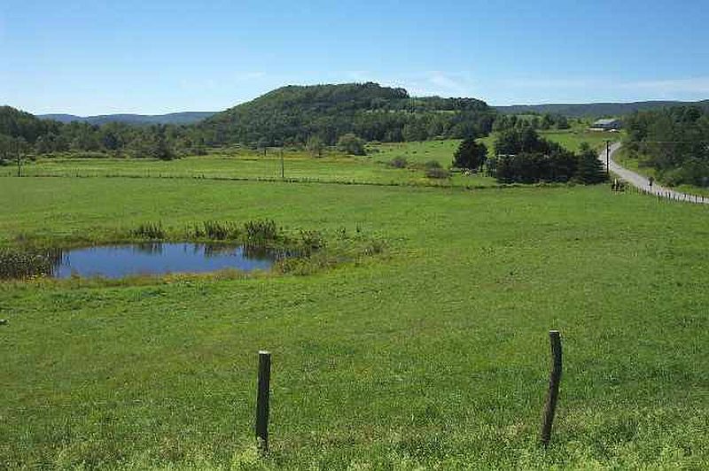 5th image of 168 SKELLIE Road